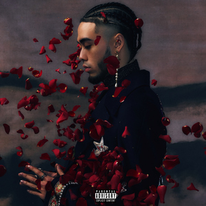 日本巨茎胖熊GV网站anime
