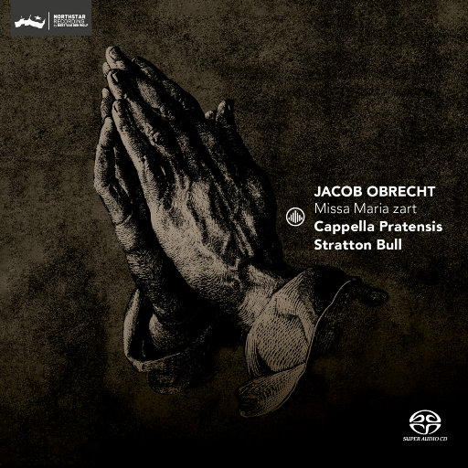 日本巨茎胖熊GV网站anime
