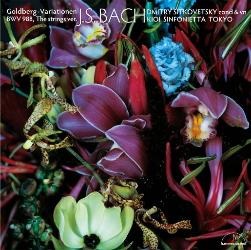 日本巨茎胖熊GV网站anime
